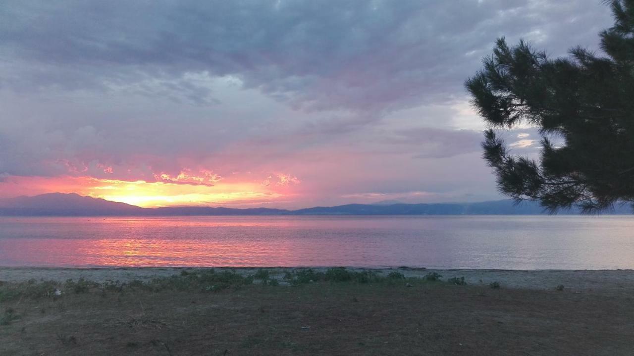 Villa Palma Σκάλα Ραχωνίου Εξωτερικό φωτογραφία